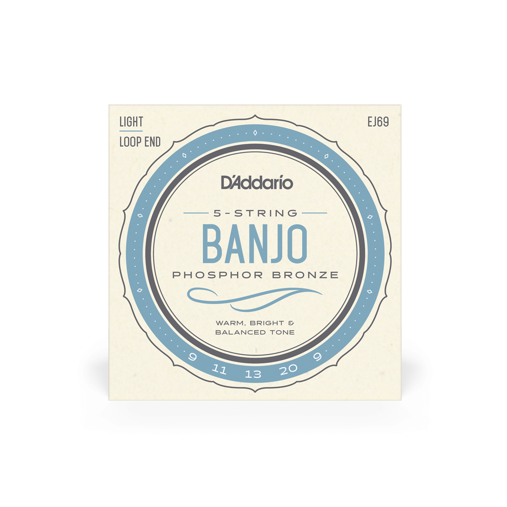 D'Addario EJ69 5-String Banjo Strings, Phosphor Bronze, Light, 9-20