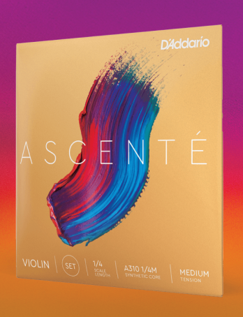 Ascente Strings